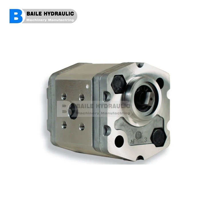 MARZOCCHI GEAR PUMP K1P KL1P KF1P SERIES KL1P D 16G KL1P D 2G KL1P D 25 G KL1P D 3,3 G KL1P D 4,2 G KL1P D 5G KL1P D 5,8 G KL1P D 6,7 GKLIP D 7.5 G KL1P D 9,2 G KL1P D 11,5 G K1P D 1.6G K1P D 2 G K1P D 2.5 G K1P D 3,3 G K1P D 4.2 G K1P D 5G K1P D 5,8 GKIP D 6,7 G K1P D 7,5 G K1P